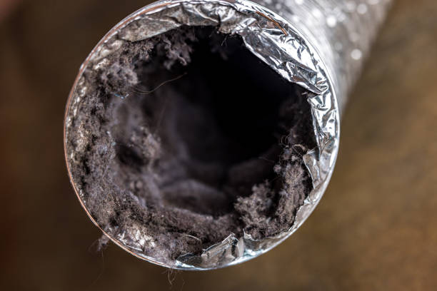 Best Air Duct Cleaning Company Near Me  in Nixa, MO
